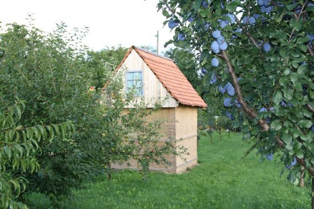 Seoski Turiziam Larva Trenkovo Exteriör bild